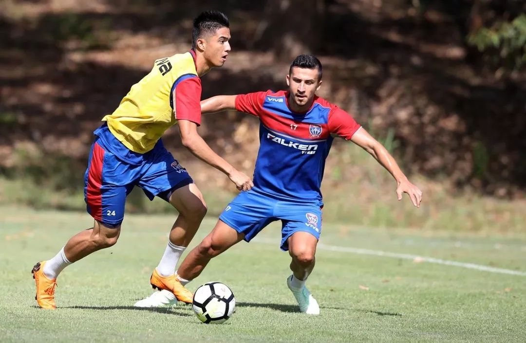 壹号娱乐-关于集结日体能课后，纽卡斯尔临场应变备战社区盾，震撼外界，赛程密集仍需轮换的信息