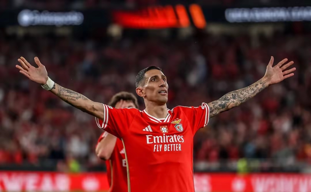 壹号娱乐-本菲卡窗口期再遭质疑，志在NBA季后赛名次提升，质疑声仍在，球队文化再被提及的简单介绍